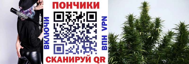 Каннабис семена  Никольское 